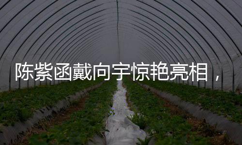 陳紫函戴向宇驚艷亮相，敖閏敖光之華麗COS秀