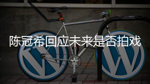 陳冠?；貞?yīng)未來(lái)是否拍戲，演員的選擇與期待