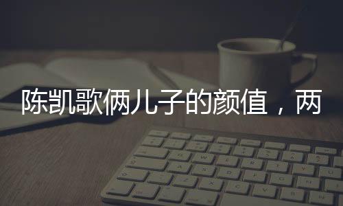 陳凱歌倆兒子的顏值，兩代傳承的魅力