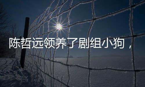 陳哲遠(yuǎn)領(lǐng)養(yǎng)了劇組小狗，愛心之舉，樹立藝人良好形象
