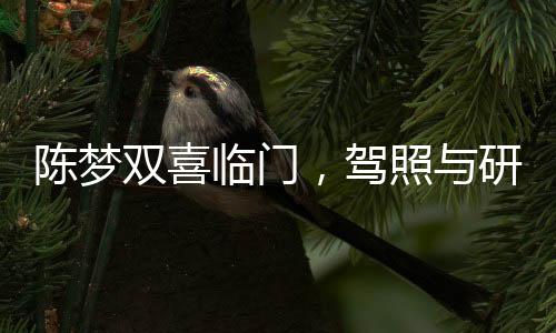 陳夢雙喜臨門，駕照與研究生畢業(yè)證雙豐收