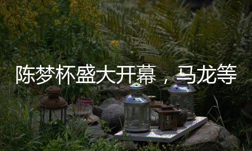 陳夢(mèng)杯盛大開幕，馬龍等明星送祝福