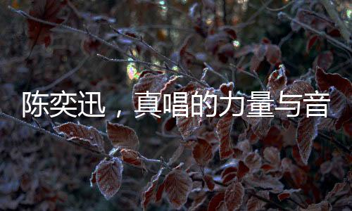 陳奕迅，真唱的力量與音樂的震撼