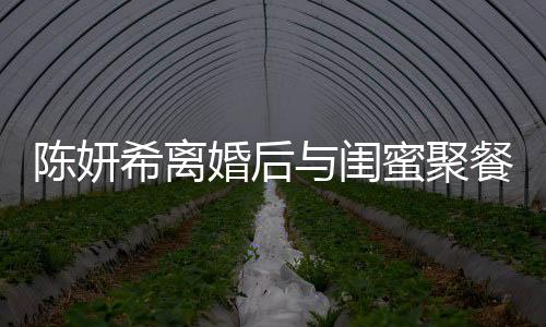 陳妍希離婚后與閨蜜聚餐狀態(tài)良好，獨(dú)立女性的魅力不減