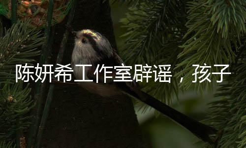 陳妍希工作室辟謠，孩子沒有轉(zhuǎn)學(xué)