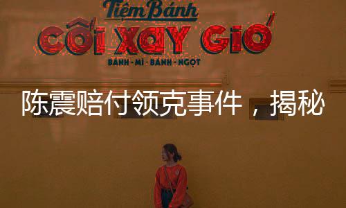 陳震賠付領(lǐng)克事件，揭秘背后的故事，涉及金額高達(dá)500萬
