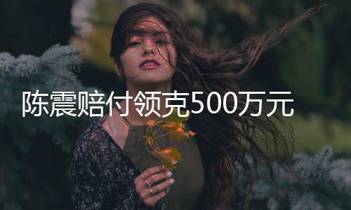 陳震賠付領(lǐng)克500萬(wàn)元違約金事件揭秘