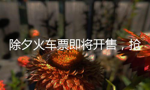 除夕火車票即將開(kāi)售，搶票攻略、準(zhǔn)備工作及出行提示
