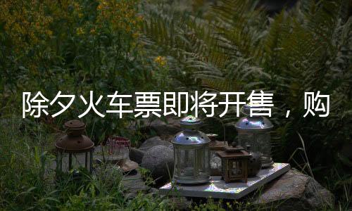除夕火車票即將開售，購(gòu)票攻略與實(shí)用信息一二三四五六七八九十