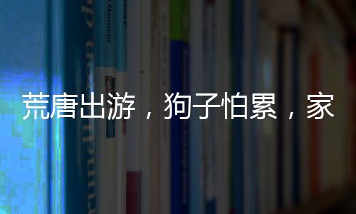 荒唐出游，狗子怕累，家人用棍子抬著旅行