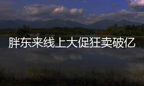胖東來線上大促狂賣破億，一日銷售額突破驚人的1.3億