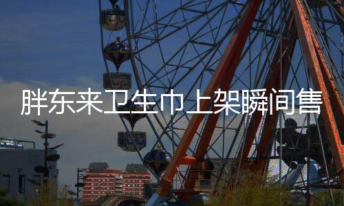胖東來衛(wèi)生巾上架瞬間售罄，市場需求與社會反響分析