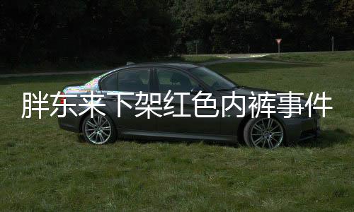 胖東來(lái)下架紅色內(nèi)褲事件揭秘