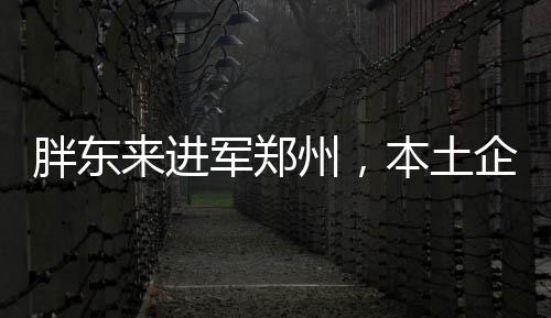 胖東來進(jìn)軍鄭州，本土企業(yè)拓展新篇章