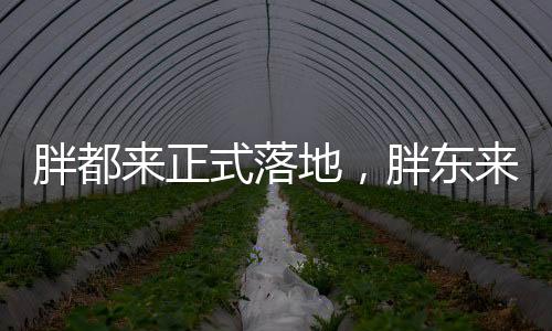 胖都來正式落地，胖東來品牌的嶄新回應(yīng)