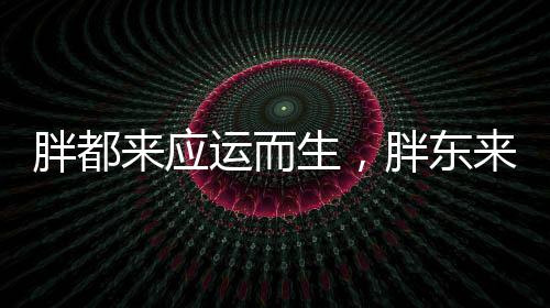 胖都來應(yīng)運而生，胖東來品牌積極回應(yīng)市場新動向