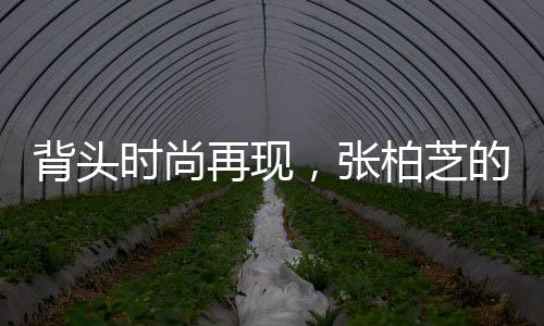 背頭時(shí)尚再現(xiàn)，張柏芝的魅力風(fēng)采
