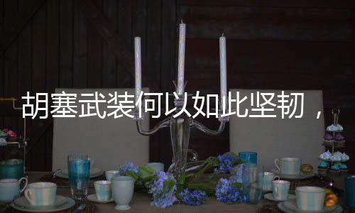 胡塞武裝何以如此堅韌，深度解析其抗打擊能力