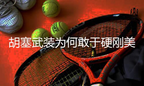 胡塞武裝為何敢于硬剛美國航母，深度解析