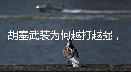 胡塞武裝為何越打越強(qiáng)，深度解析其背后的原因