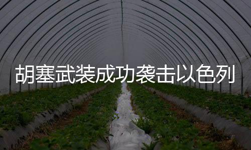 胡塞武裝成功襲擊以色列軍事目標(biāo)，一場(chǎng)備受關(guān)注的軍事行動(dòng)分析