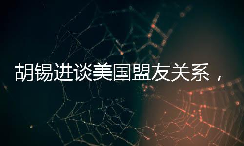 胡錫進(jìn)談美國(guó)盟友關(guān)系，做美國(guó)盟友真悲慘
