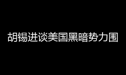 胡錫進(jìn)談美國(guó)黑暗勢(shì)力圍剿DeepSeek，揭示背后的真相與挑戰(zhàn)