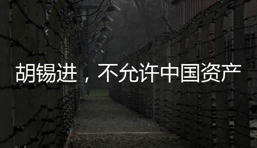 胡錫進(jìn)，不允許中國(guó)資產(chǎn)被肆意侵占