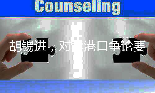 胡錫進，對賣港口爭論要回歸常識