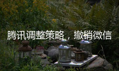 騰訊調(diào)整策略，撤銷(xiāo)微信藍(lán)包申請(qǐng)引發(fā)市場(chǎng)熱議