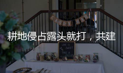 耕地侵占露頭就打，共建生態(tài)美麗家園