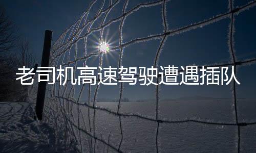 老司機(jī)高速駕駛遭遇插隊(duì)，巧妙借道應(yīng)急車道避險(xiǎn)
