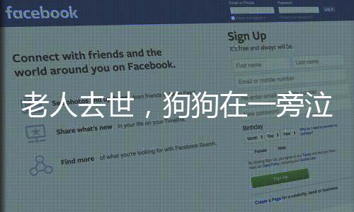 老人去世，狗狗在一旁泣不成聲，忠誠(chéng)與哀傷的見(jiàn)證