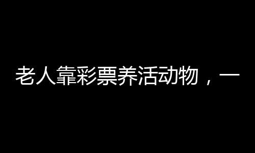 老人靠彩票養(yǎng)活動物，一份熱愛與堅持的故事
