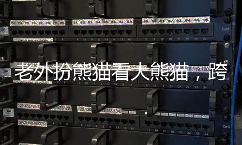 老外扮熊貓看大熊貓，跨越文化的奇特體驗