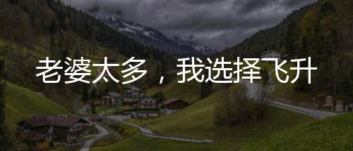 老婆太多，我選擇飛升