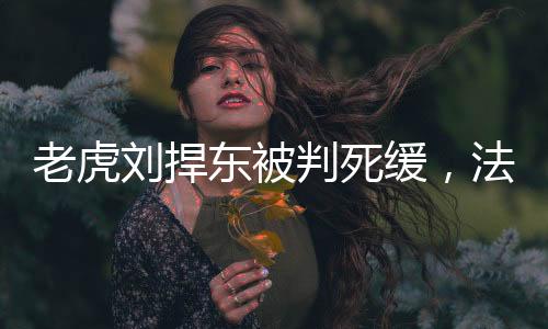 老虎劉捍東被判死緩，法律公正與社會反響
