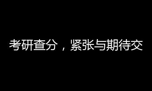 考研查分，緊張與期待交織的時刻