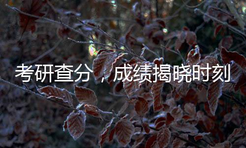 考研查分，成績揭曉時刻的焦慮與期待