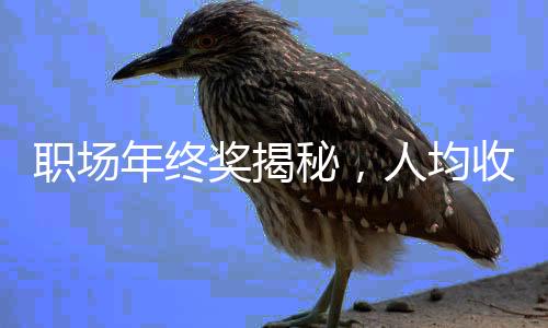 職場(chǎng)年終獎(jiǎng)揭秘，人均收獲6091元，一線員工、白領(lǐng)有何所獲？且看詳細(xì)分析。