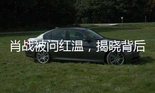 肖戰(zhàn)被問紅溫，揭曉背后真相，一夜熱議事件的全方位解讀