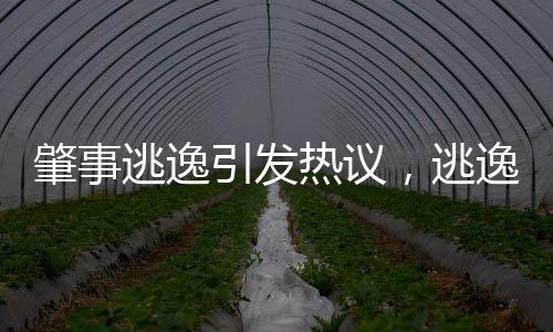 肇事逃逸引發(fā)熱議，逃逸者駕駛貓車輛難以置信