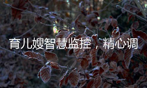 育兒嫂智慧監(jiān)控，精心調(diào)整攝像頭機位，保障寶寶安全成長