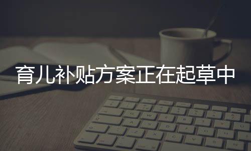 育兒補(bǔ)貼方案正在起草中，一攬子計(jì)劃助力家庭育兒事業(yè)蓬勃發(fā)展