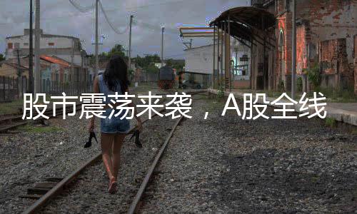 股市震蕩來襲，A股全線大跌，創(chuàng)業(yè)板指跌近四成深度解析