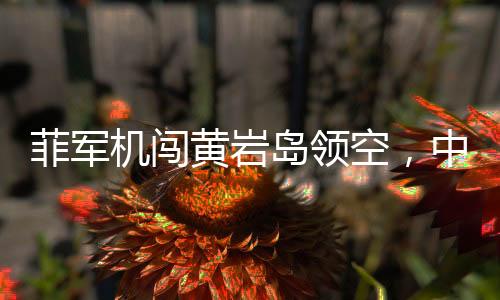 菲軍機(jī)闖黃巖島領(lǐng)空，中方警告驅(qū)離，事件深度解讀
