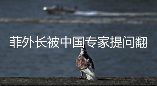 菲外長被中國專家提問翻手機找答案，一場深度交流的微觀解讀