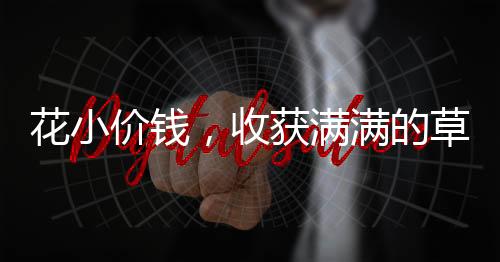 花小價(jià)錢(qián)，收獲滿滿的草莓，僅需花費(fèi)六十多元購(gòu)買(mǎi)三十斤新鮮草莓，帶你領(lǐng)略水果之王的魅力