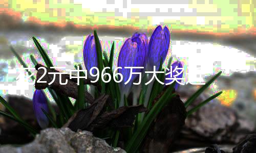 花2元中966萬大獎近兩個月無人領(lǐng)，幸運(yùn)彩票背后的故事