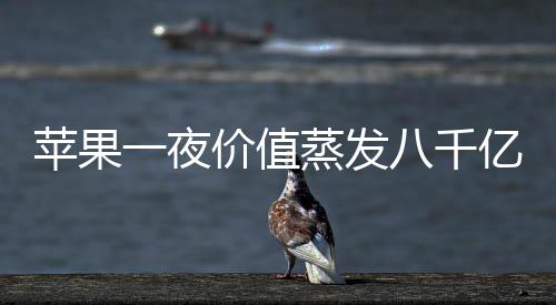 蘋(píng)果一夜價(jià)值蒸發(fā)八千億，探索背后深層次的原因及展望未來(lái)發(fā)展